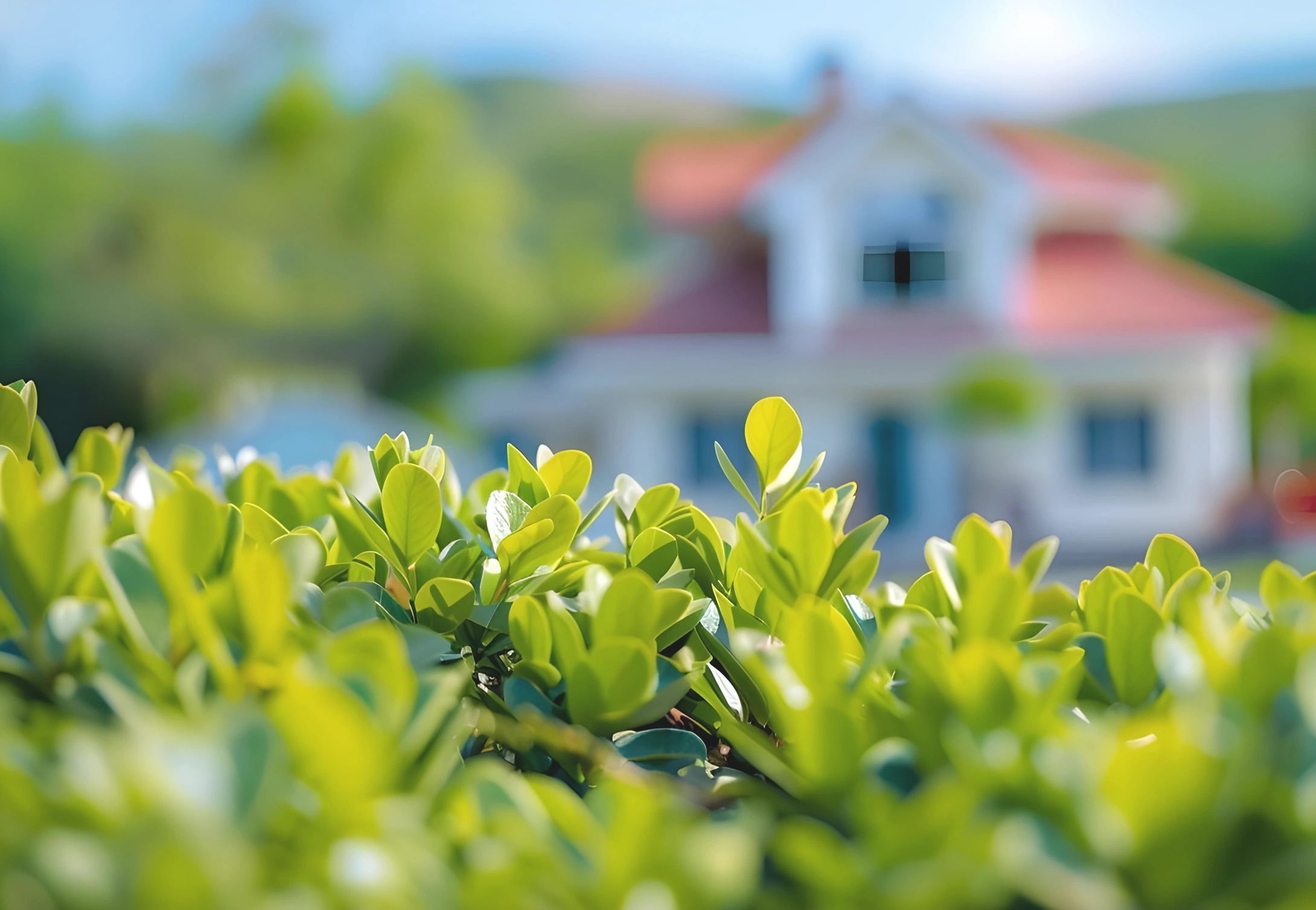 Real Estate, Construction & Hospitality