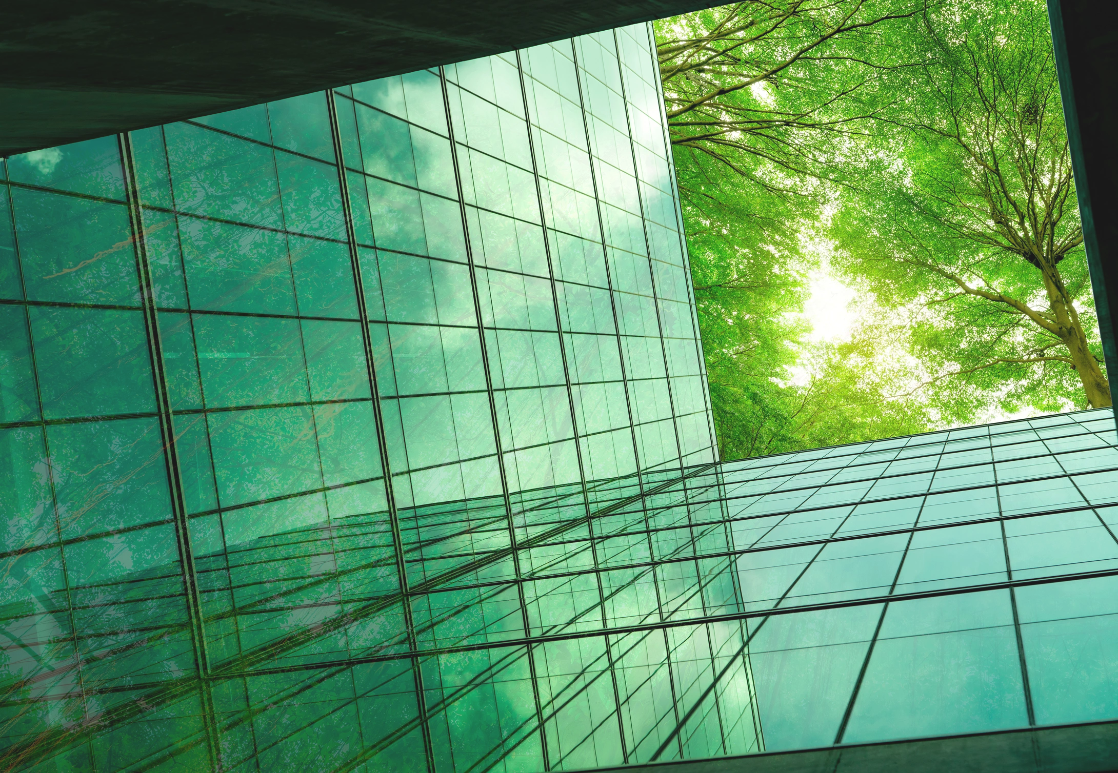 Banking, Financial Services & Insurance (BFSI)
